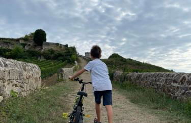 La Petite Fontaine - Foto 28