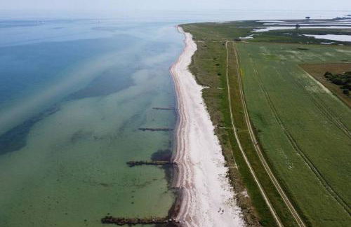 Gemütliches Ferienhäuschen an der Schlei & Ostsee - Foto 19