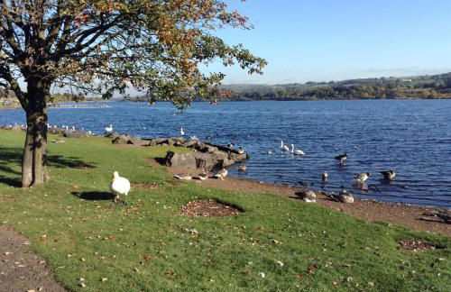 Paisley Central Apartment #2 - Foto 24