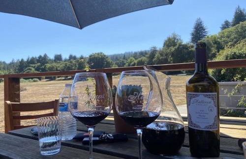 Redwood Oasis - Private Heated Pool by State Park! - Foto 46