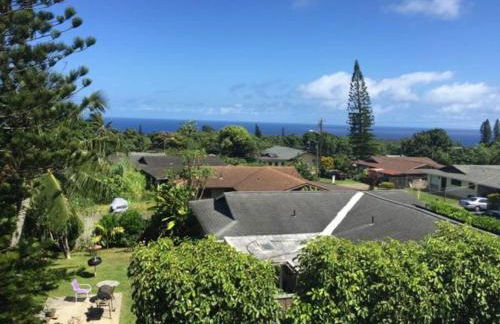 Lucy Fan Ohana - Photo 29