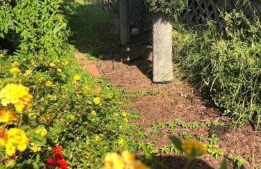 Spacious Guest Suite Amazing Location - Foto 17