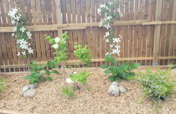 La Cabane des salines proche mer - Foto 39