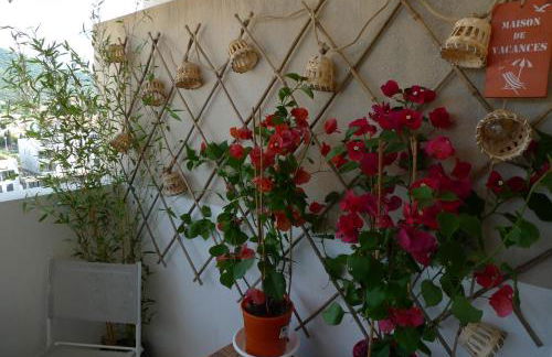 Nidu Accogliente in Balagna - Foto 34