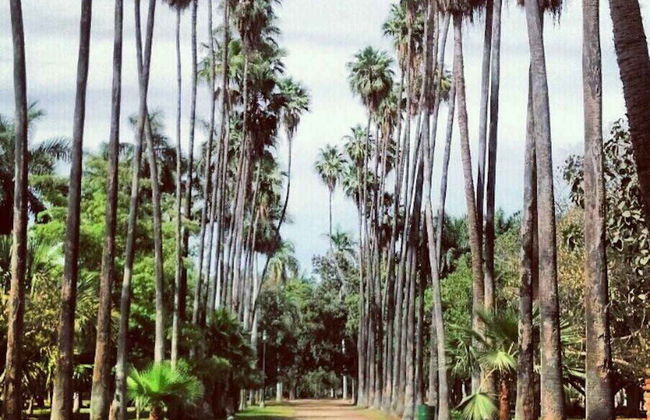 Los Mochis Tour - Foto 6