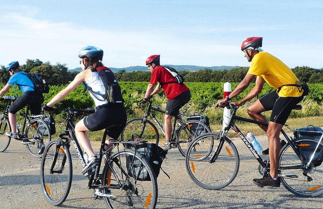 Apartment in Caderousse With Pool - Foto 22