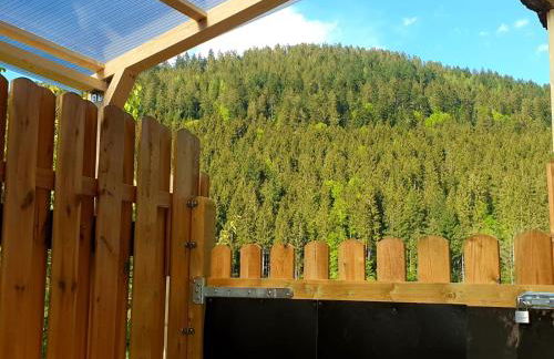 Ferienwohnung Schwarzwaldglück - Foto 9