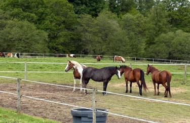 Le Chalet de Lintignat - Foto 23