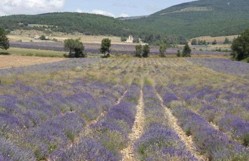 Nature & Adventure Highlights - Foto 38