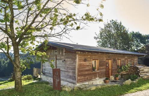 Bio-Ferienhof Höfler - Foto 55