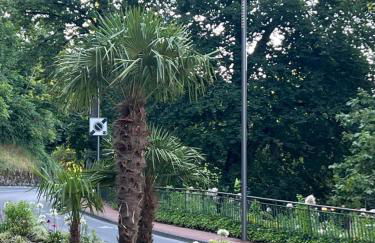 Appartement de luxe plein centre - Foto 10