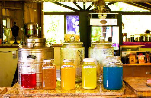 Hawaiian Sanctuary Eco Retreat Center - Foto 33