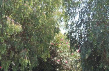 Alexandra Spingou Apartments - Foto 56