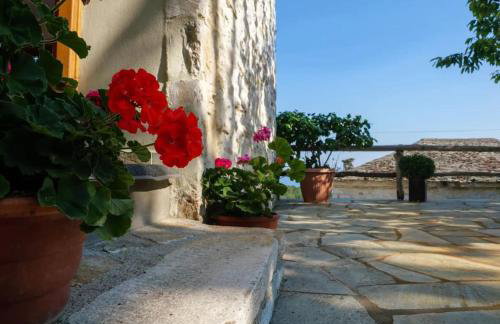 Pileas Pinakates-Milies-Vizitsa - Foto 3