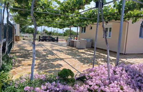 Vasiliki's Apartments - Foto 30