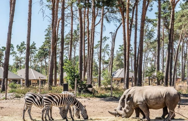 Safari Resort Beekse Bergen - Foto 47