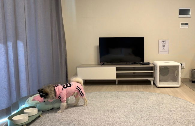 The November Stay In Landmark - Foto 67