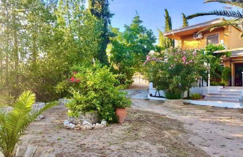 Alojamiento Julian - Foto 9