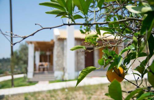 To Stolidi tis Psinthou - Foto 38