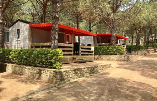 Cozy Glamping Chalet in Palams with Garden View - Foto 1