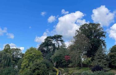 Chandeliers 6 - Photo 29