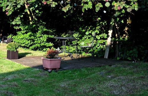 Haus Orbis Noster im Harz - Whirlpool und Sauna - direkt am Wald - Foto 47