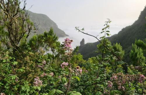 Casa Rural Antigua Escuela II - Foto 19