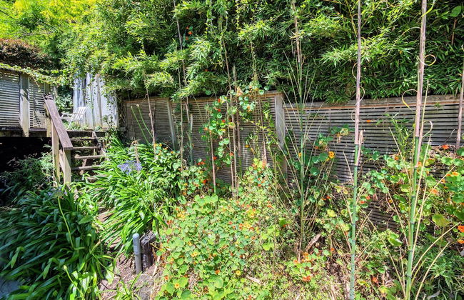 Ponsonby Holiday Home Near The City - Foto 25