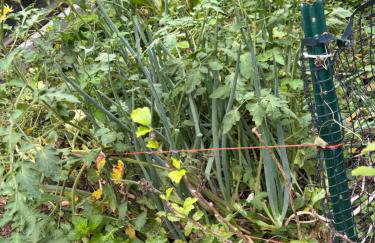 Raleigh Retreat with Pool Table, Grill & ADA Bath - Foto 43