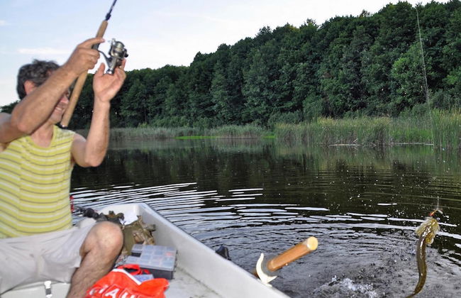 Comfortable Rural Holiday Home, Grabczyn - Photo 38