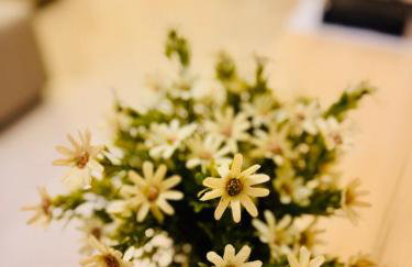 Travellar 601 Hotel Mont Blanc Premium - Foto 73