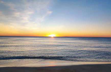 Agata Sea Horse - Foto 21