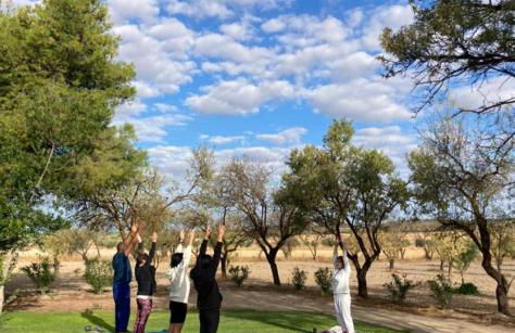 Finca El Relax Casa Rural en Colmenar de Oreja - Foto 32