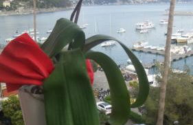 Blue A'Mare - Foto 35