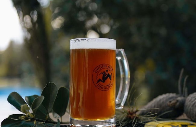 Complejo Turístico Valle del Sol Quillón - Foto 35