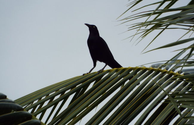 Lake View Condo - Foto 40