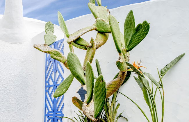 The Dome House - Foto 21