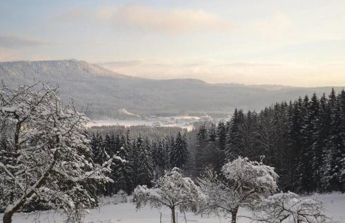 Hans-Girgl-Hof - Foto 77