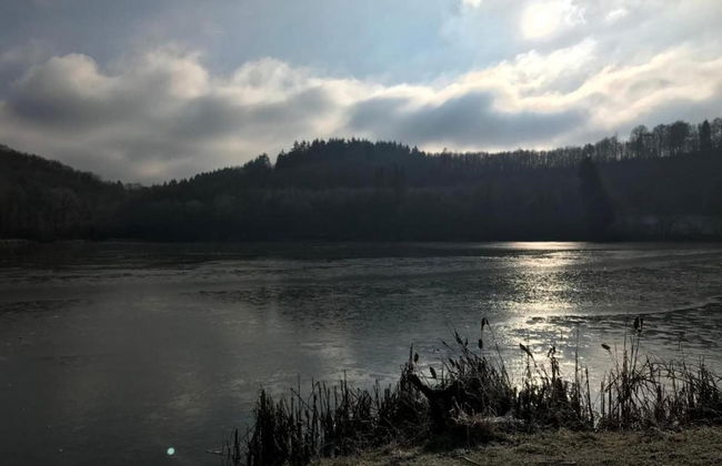 Strotzbusch Forest Hideaway - Photo 27