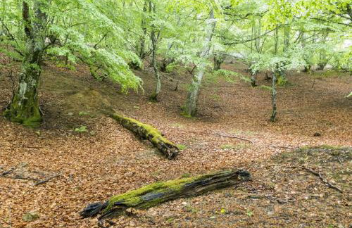 Apto. de Montaña La Campa en Felechosa (Aller) - Foto 25