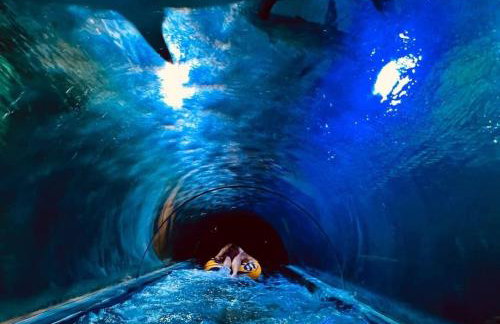 Leśna Przystań Rumia - obok Gdyni i Aquaparku Reda - Foto 30