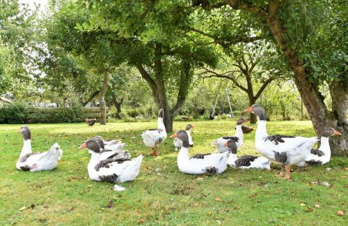 Modernes Ferienhaus in Thorstorf mit Sauna - Foto 53