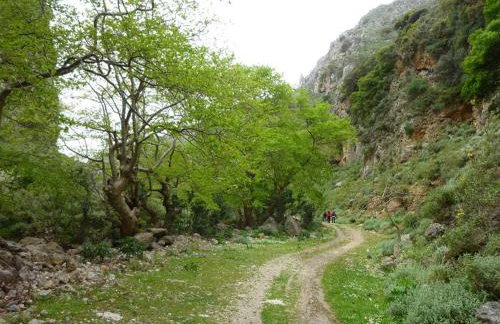 Mesavlia Traditional Stone House - Photo 51