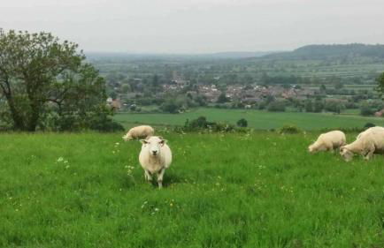 Honeysuckle Cottage Middle Tysoe - Photo 30