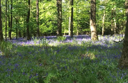 Ingledale Apartment, Ingleton, Yorkshire Dales National Park, Famous Three Peaks, Near The Lake District, Pets Are Welcome - Foto 54