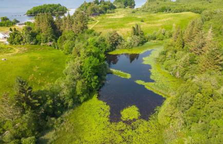 Blar Cottage (Private Sauna + Fast Starlink Wifi) - Foto 5