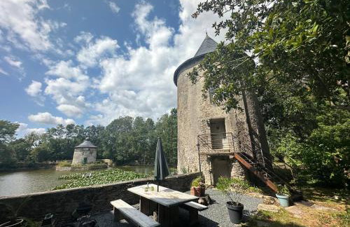 Chateau de la Preuille Gites - Foto 13