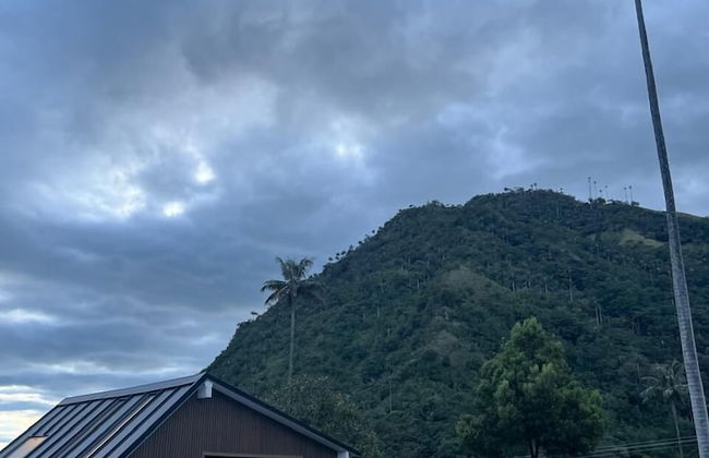 Bosques de Cocora Donde Juan B - Photo 2