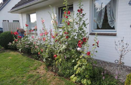 Goden Wind 4 - Foto 7