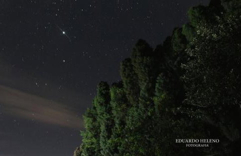 Bangalô - Sítio Cachoeiras do Caledônia - Foto 34